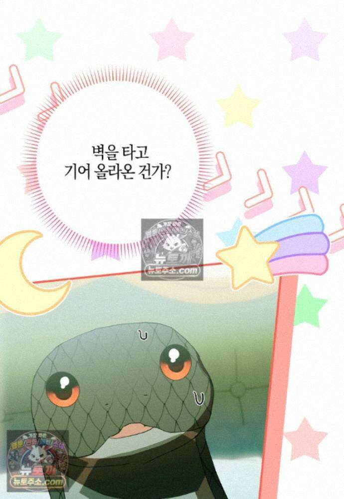 신데렐라는 이 멧밭쥐가 데려갑니다 43화 13