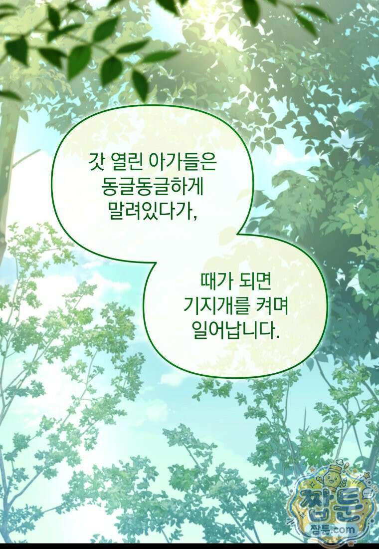괴식식당 90화 33