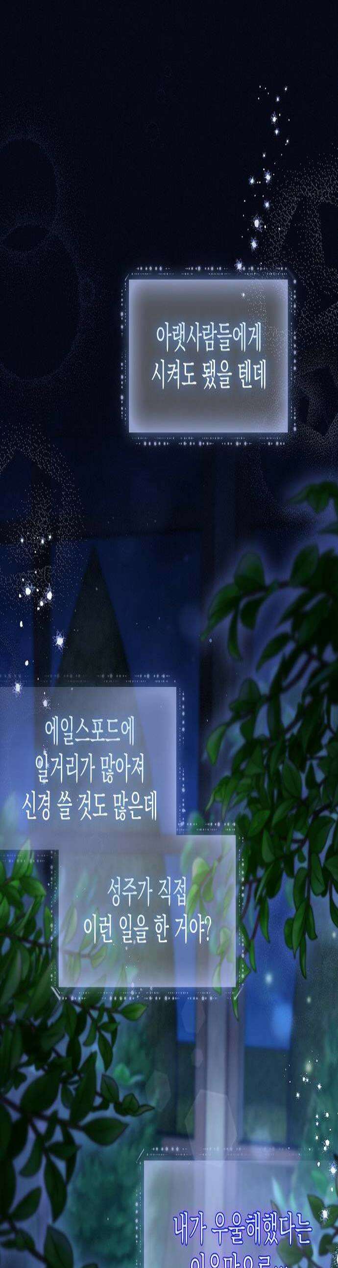 아무래도 결혼을 잘못한 것 같다 53화 1