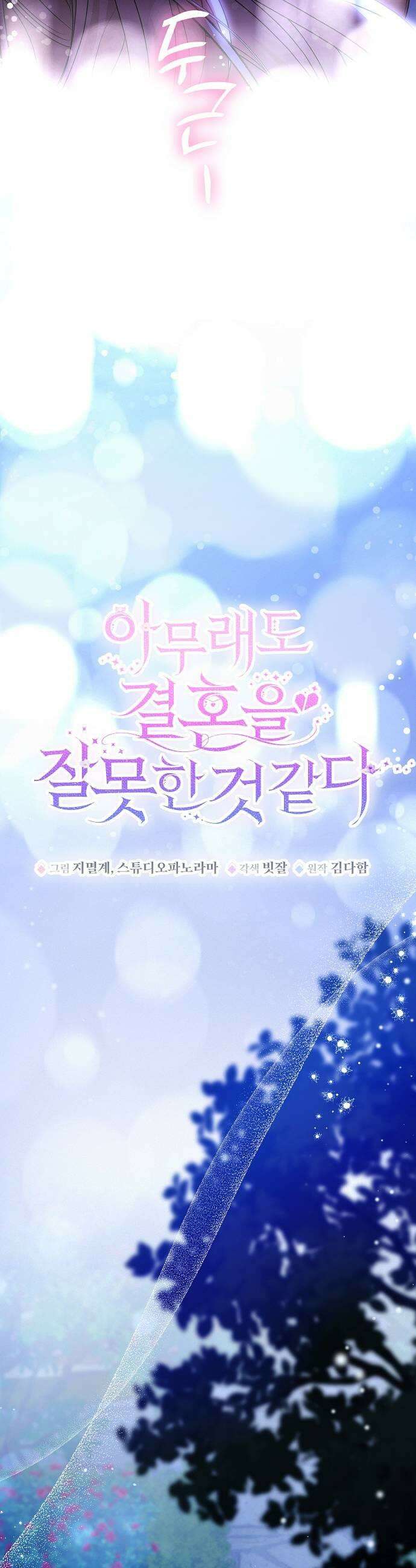 아무래도 결혼을 잘못한 것 같다 53화 15