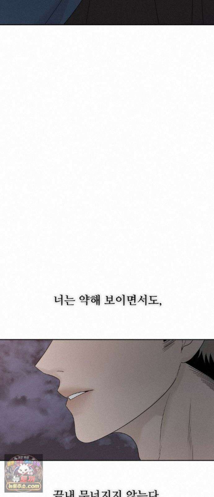 다정한 침입자 50화 이미 널 좋아하고 있었으니까 85