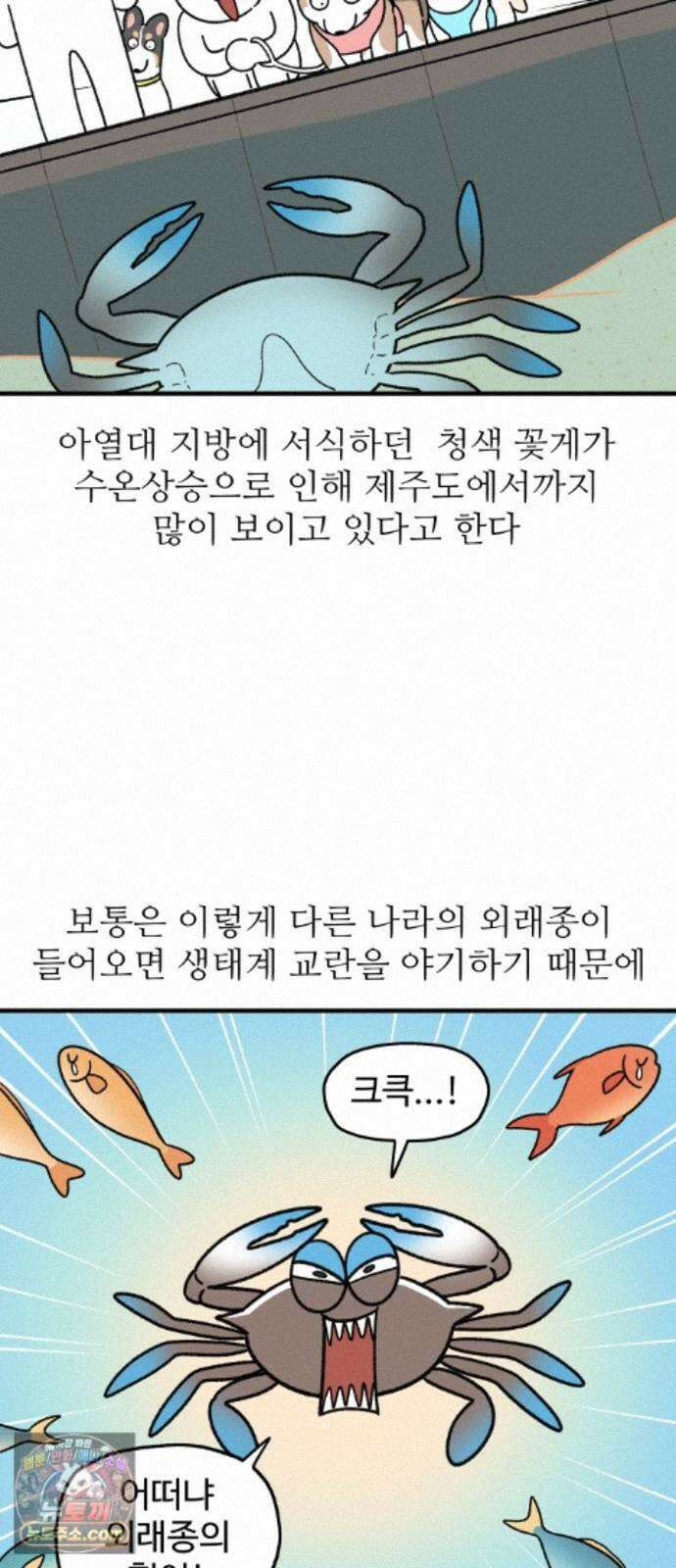 먹는 인생2 58화 청색꽃게와 양념게장 2