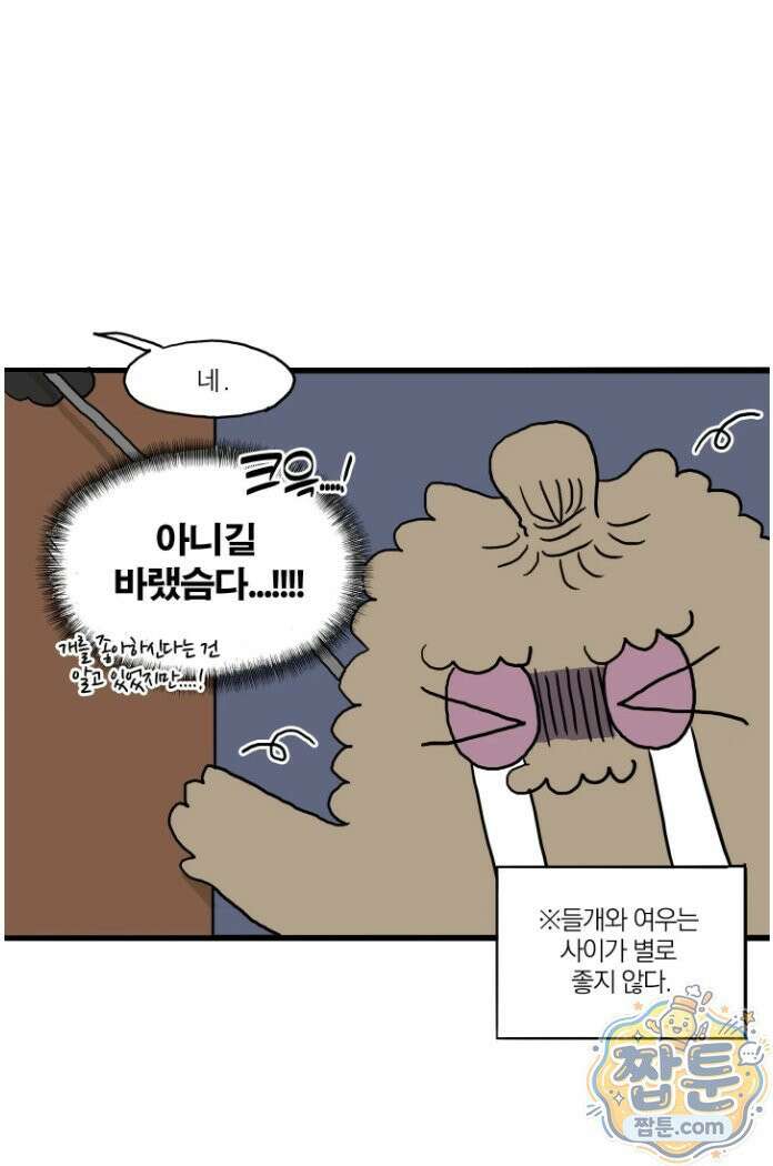 봄불은 여우불이어라 9화 6