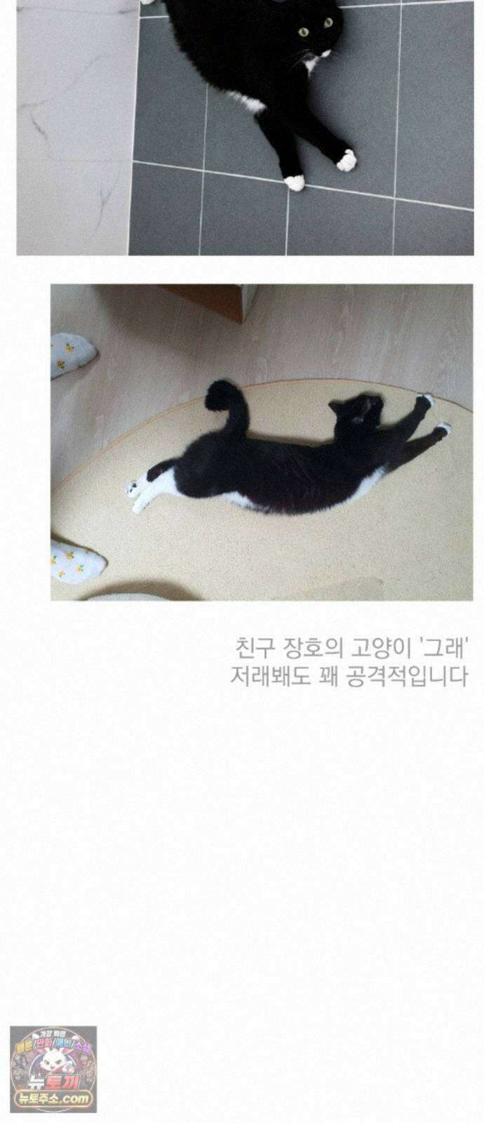 수희0(tngmlek0) 후기 5