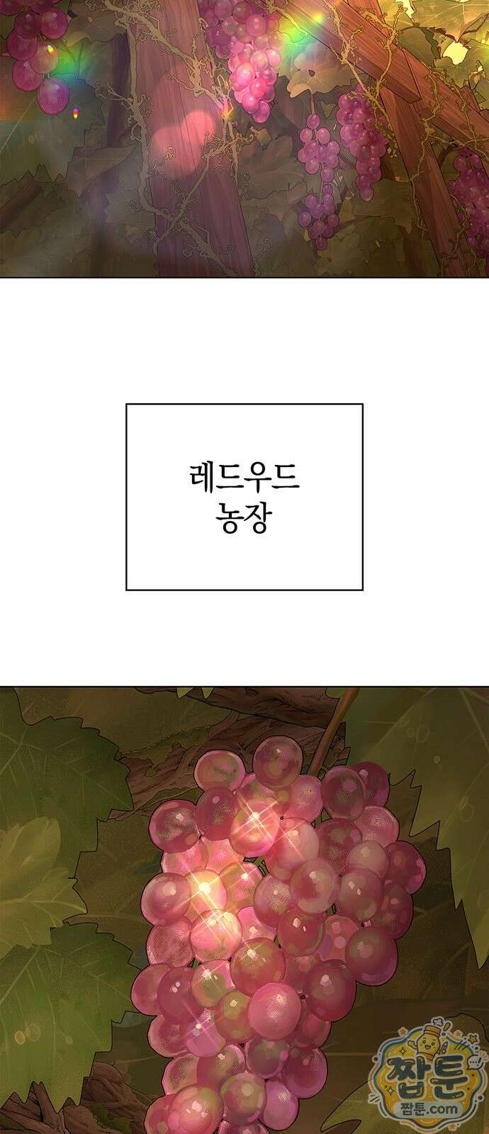 와인의 신 1화 5