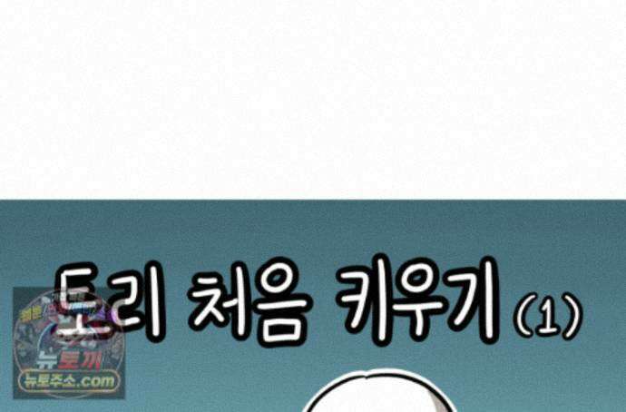 재활용 머학생 174화 토리 처음 키우기(1) 1