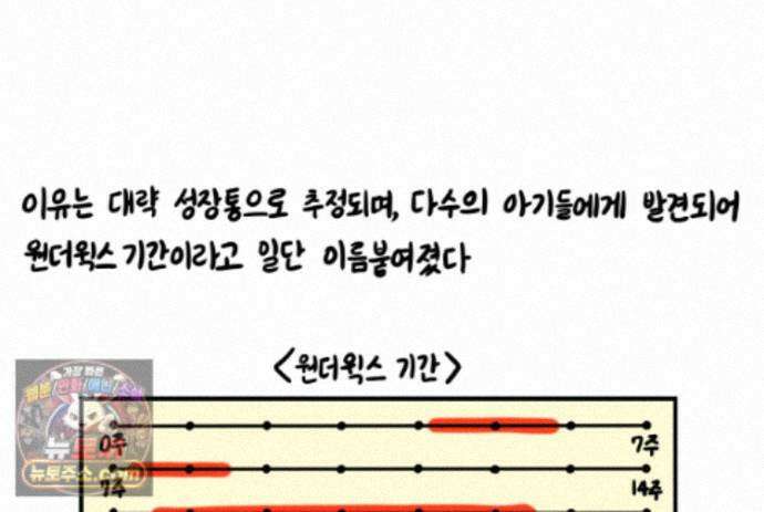 재활용 머학생 174화 토리 처음 키우기(1) 51