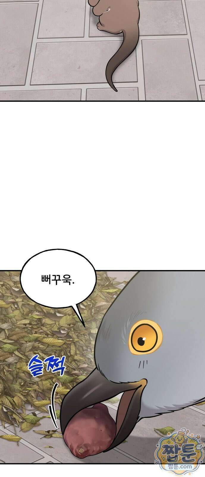 안녕 오목눈이 그리핀! 52화 49