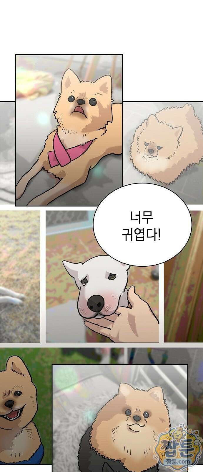 로스트 미디어샵 아코드 34화 2