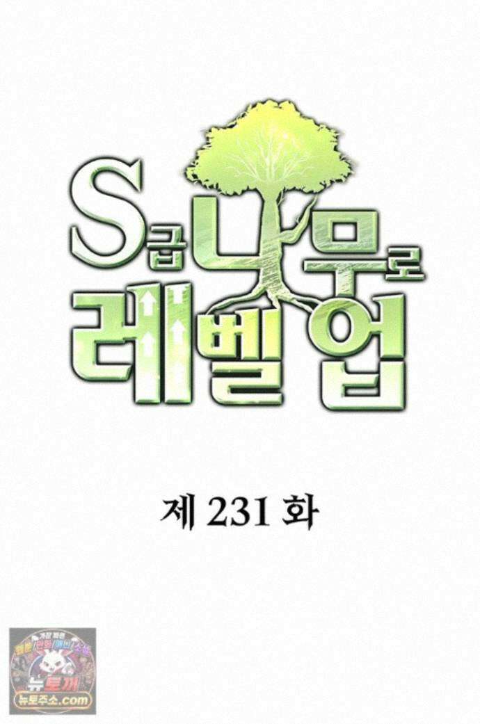 S급 나무로 레벨업 231화 1