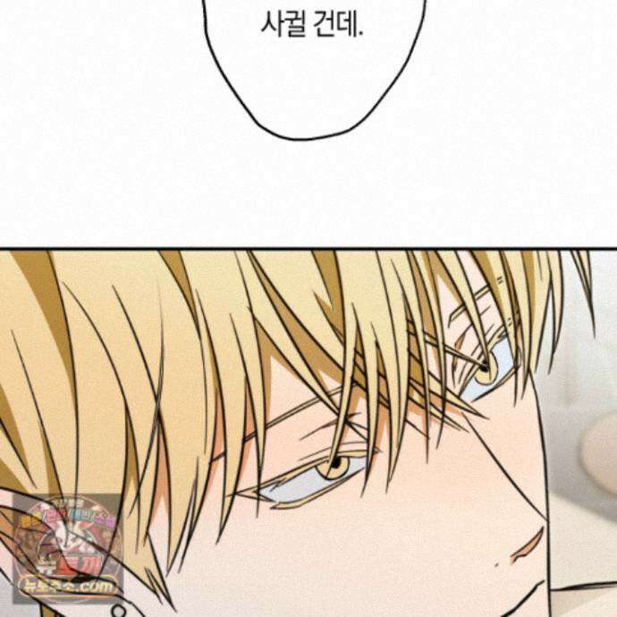 짝사랑 필승법 38화 64
