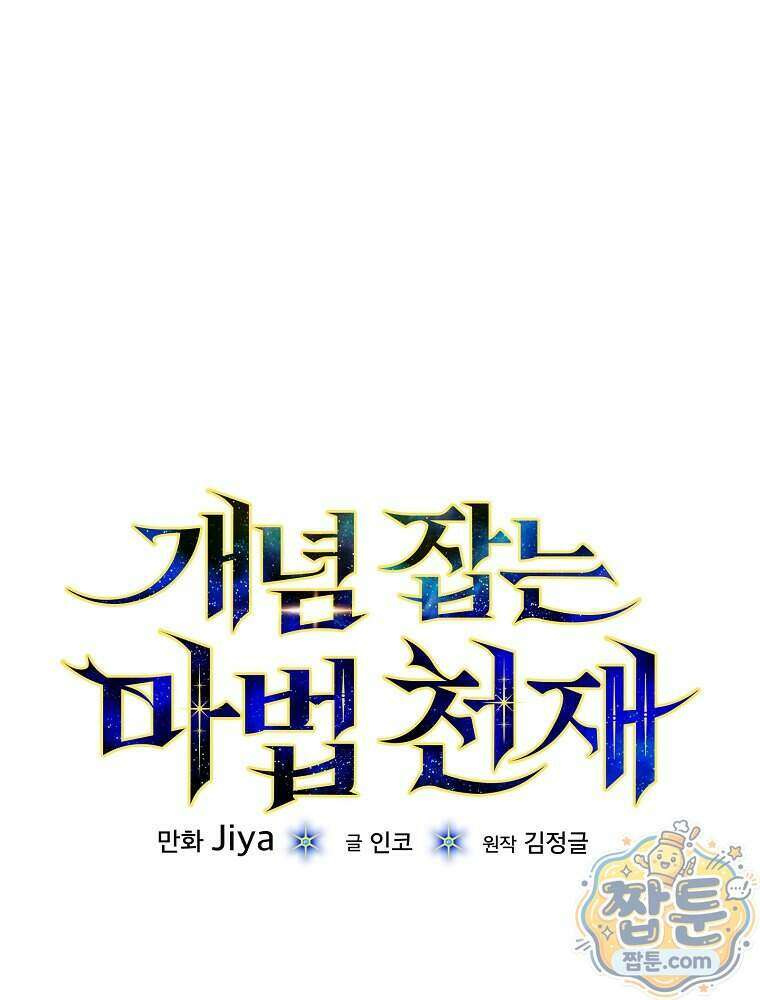개념 잡는 마법 천재 56화 18