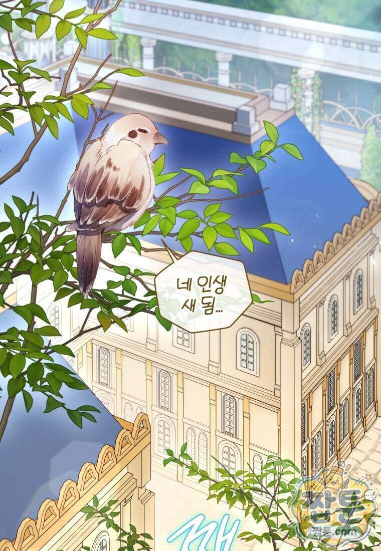 퇴사 후 남주들의 집착은 사절이에요 13화 12