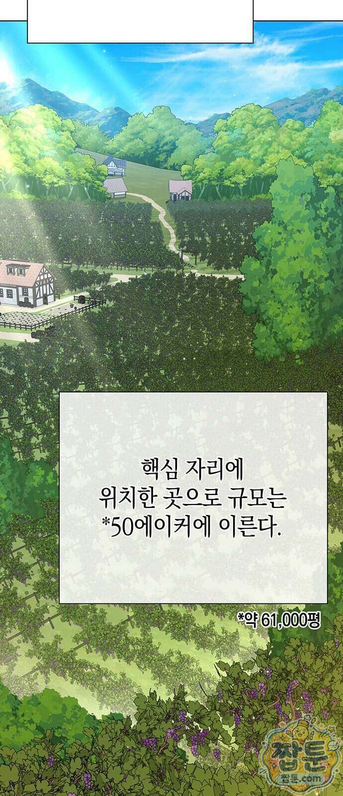 와인의 신 4화 67