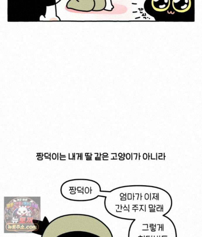 먼지 덩어리 짱덕 77. 시즌 2 마지막 화 27
