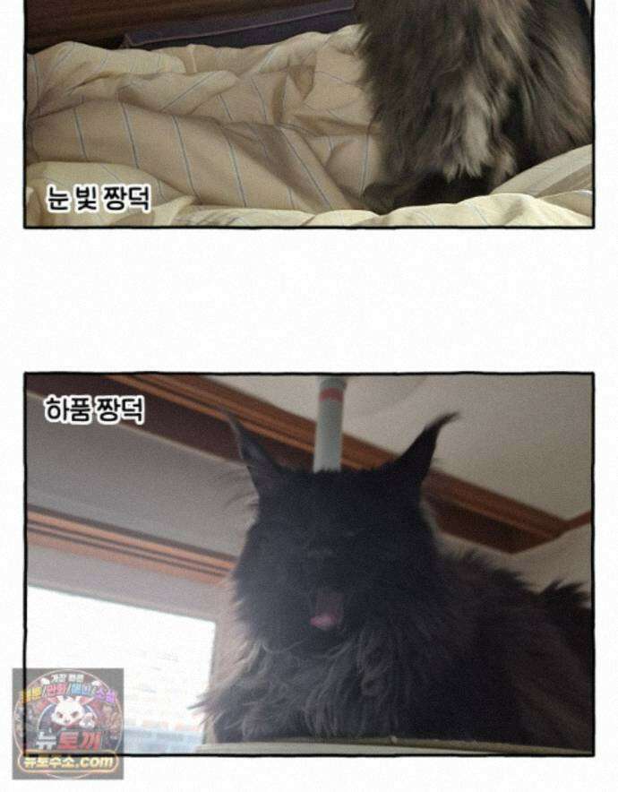 먼지 덩어리 짱덕 77. 시즌 2 마지막 화 33