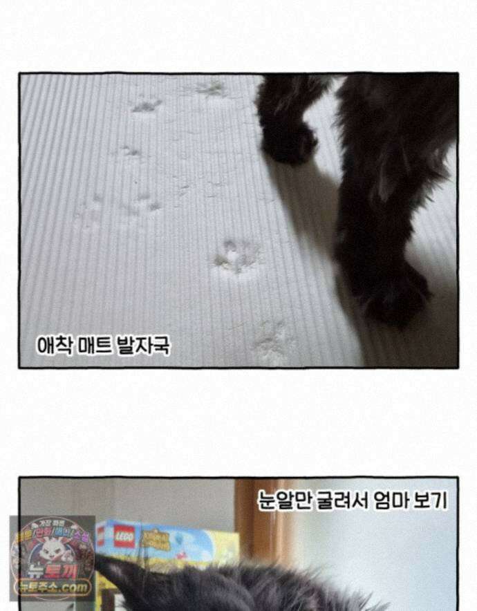 먼지 덩어리 짱덕 77. 시즌 2 마지막 화 34