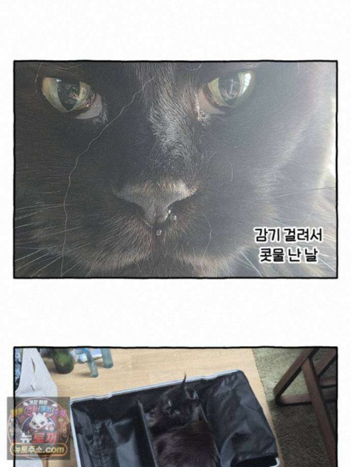 먼지 덩어리 짱덕 77. 시즌 2 마지막 화 36