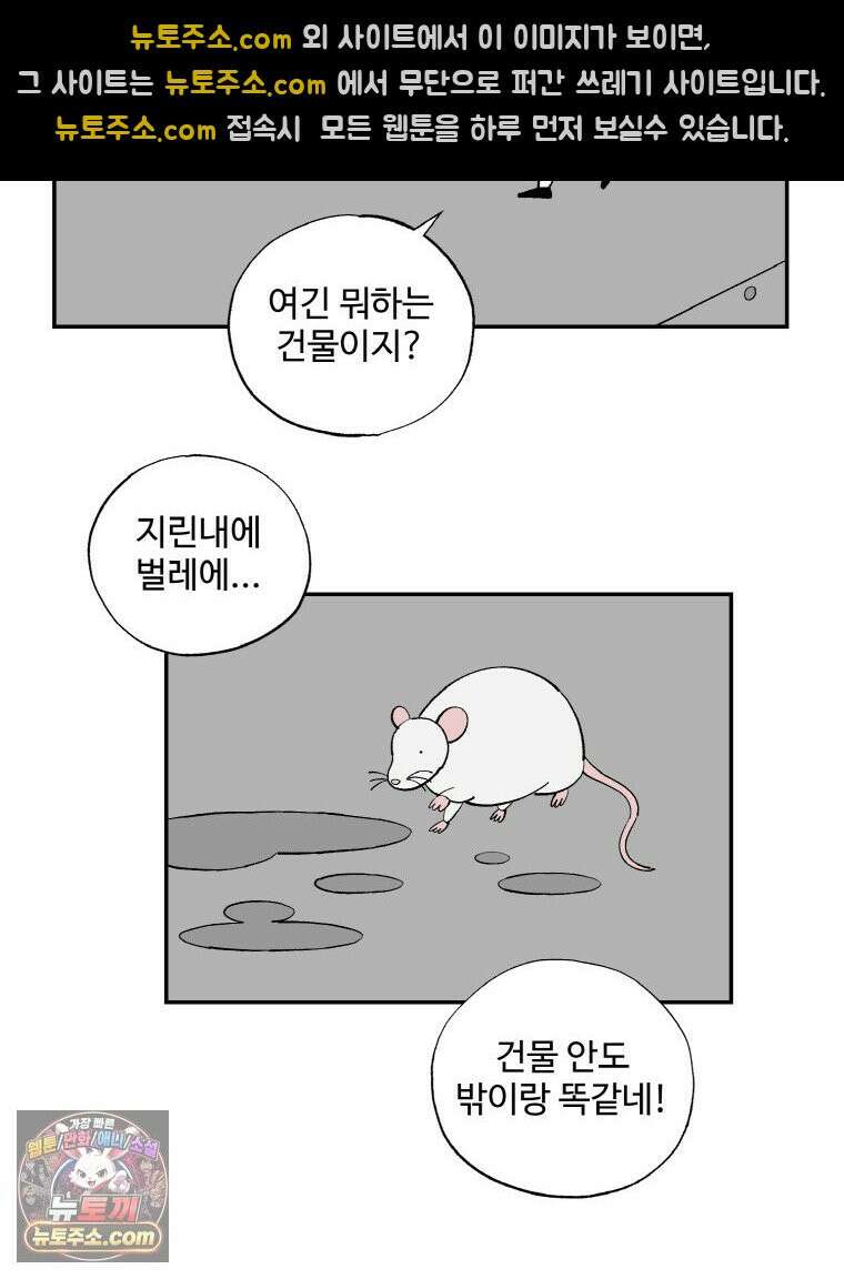 카스트라토 ~거세 가수 이야기~ 76화 더러운 베일 10