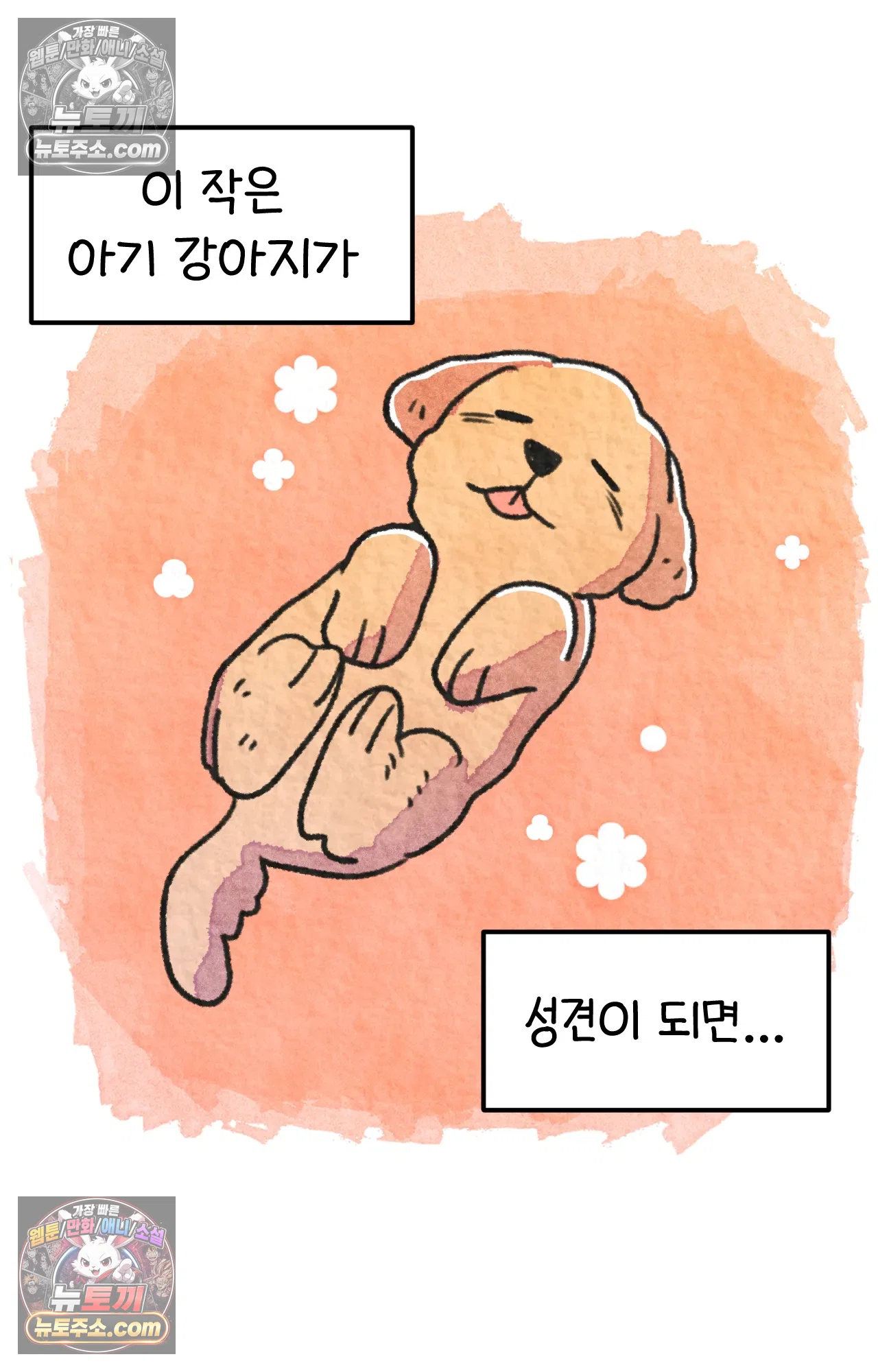 국제결혼 절대로 하지 마라 65화 - 강아지 천국(2) 11