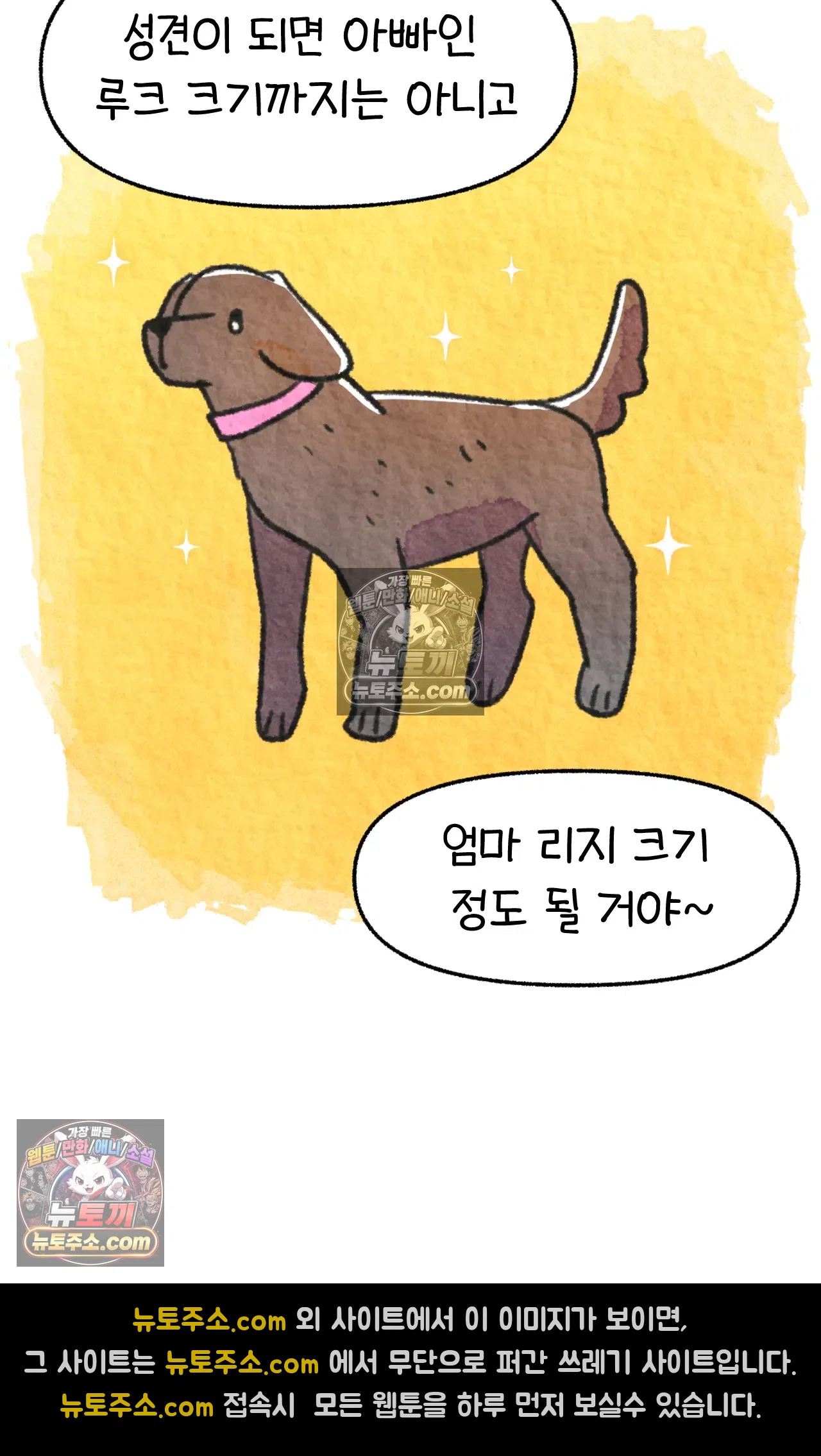 국제결혼 절대로 하지 마라 65화 - 강아지 천국(2) 44