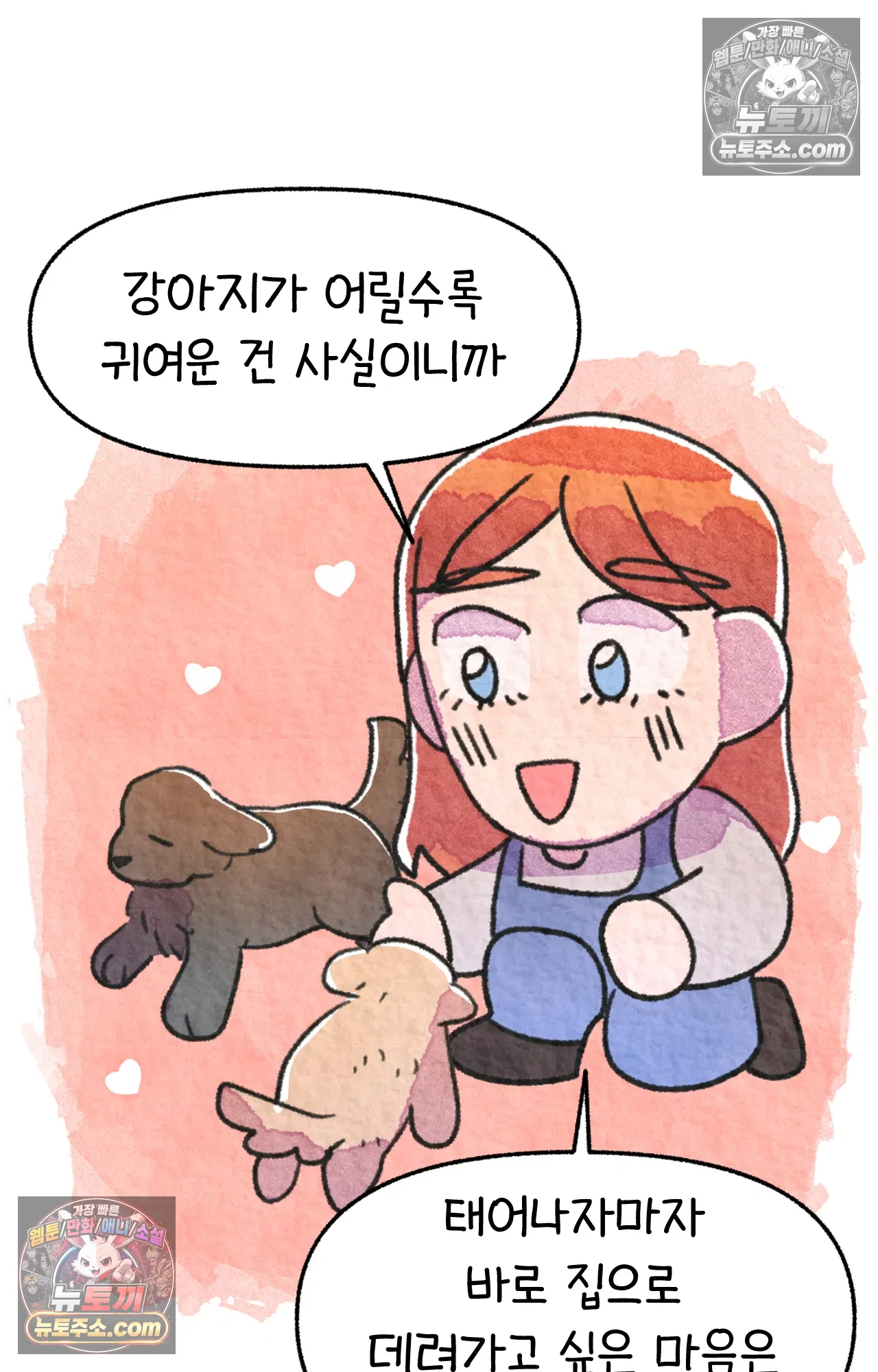국제결혼 절대로 하지 마라 65화 - 강아지 천국(2) 55