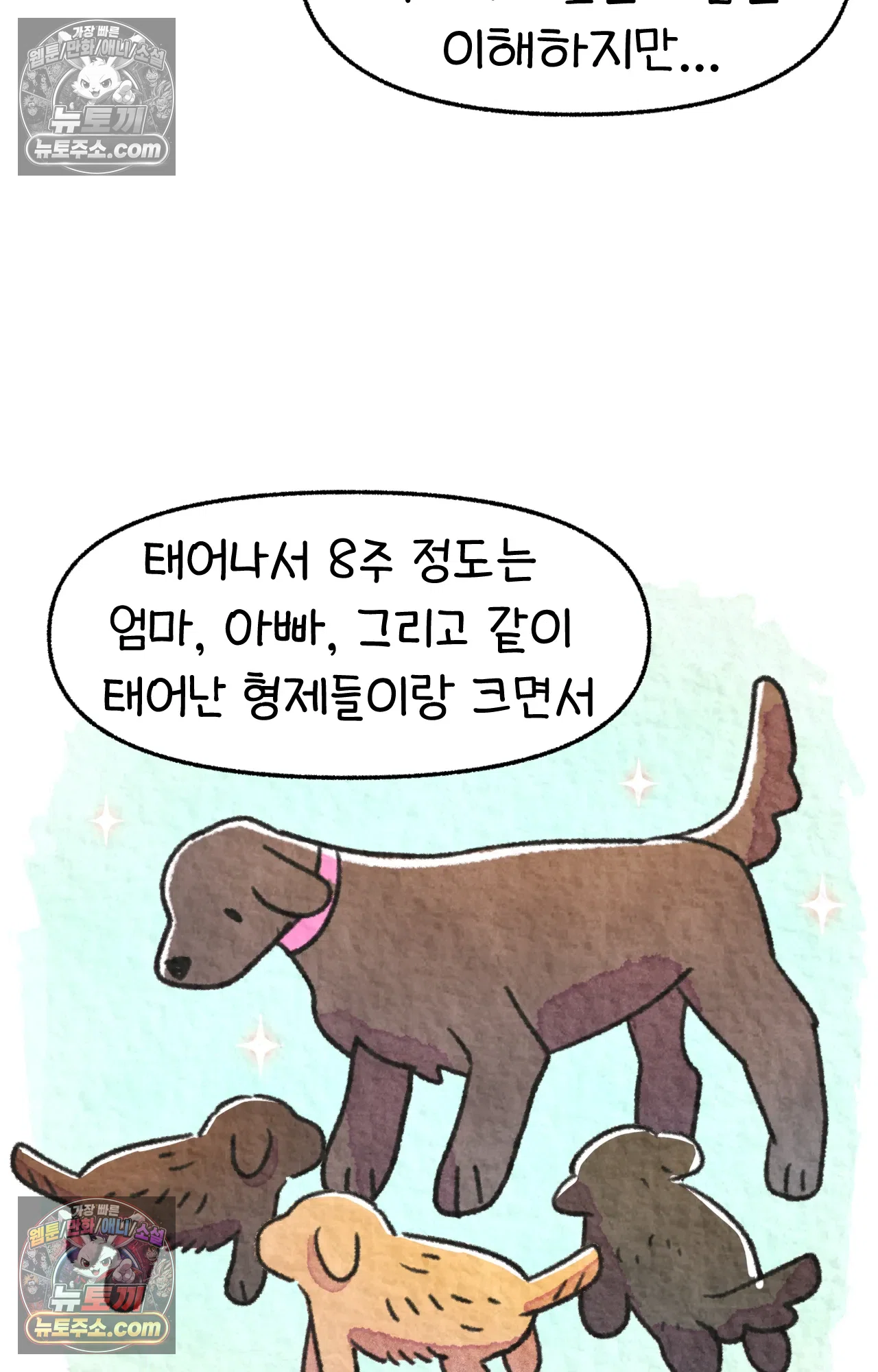 국제결혼 절대로 하지 마라 65화 - 강아지 천국(2) 56