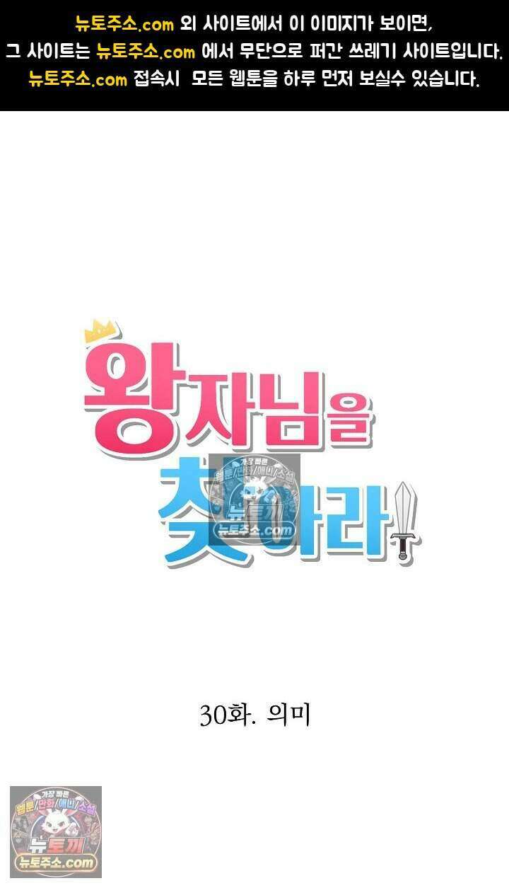 왕자님을 찾아라! 30화 1