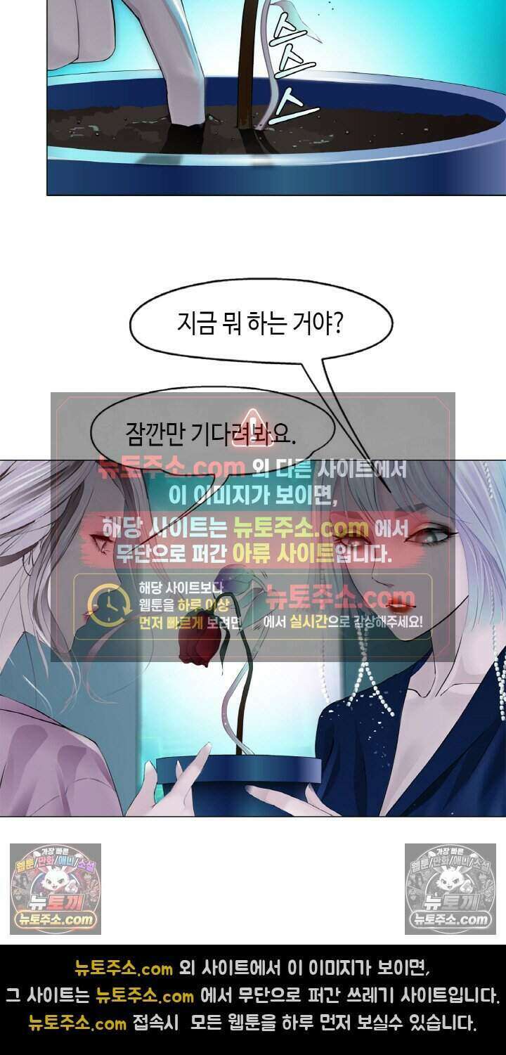 아이비 걸: 복수의 여신 14화 5