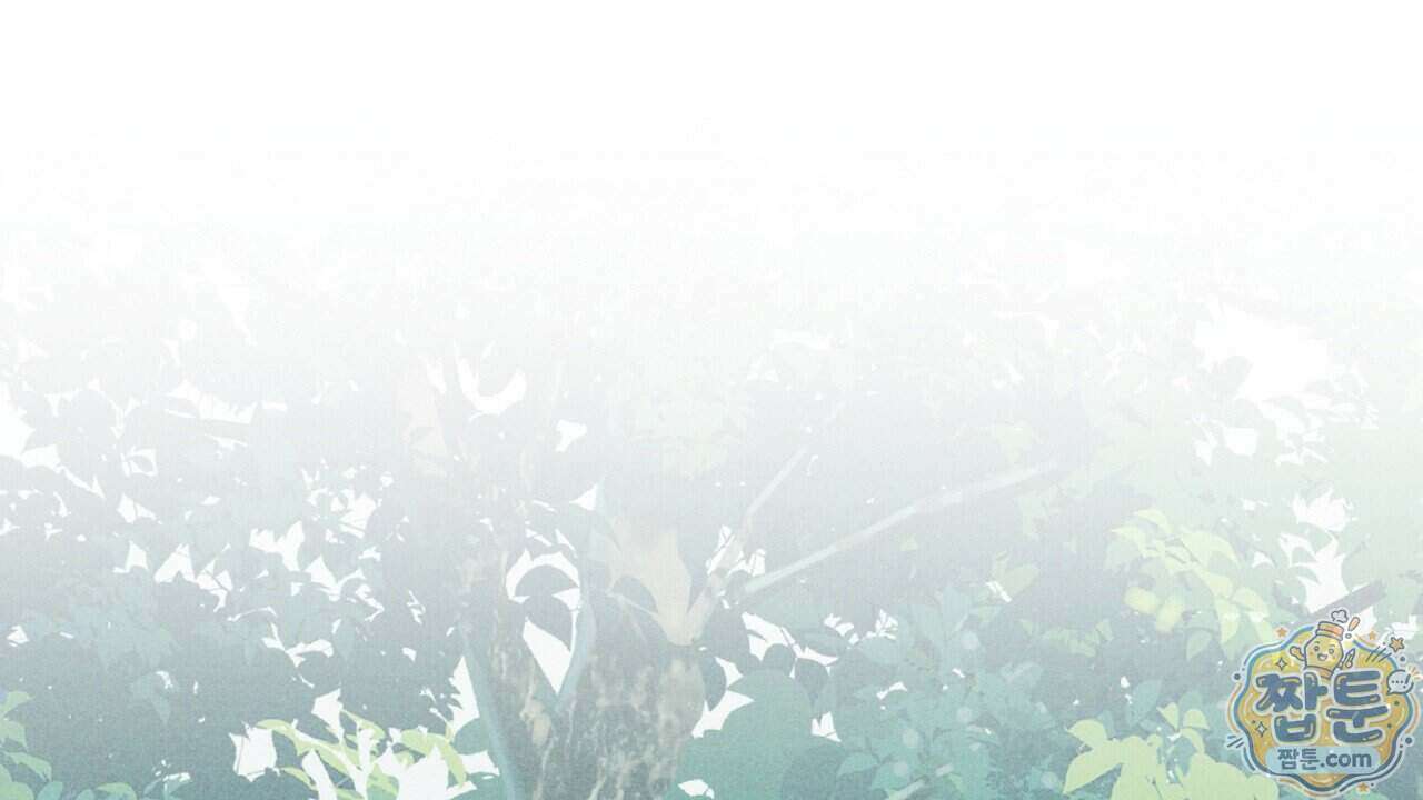 백송의 꽃말 45화 22