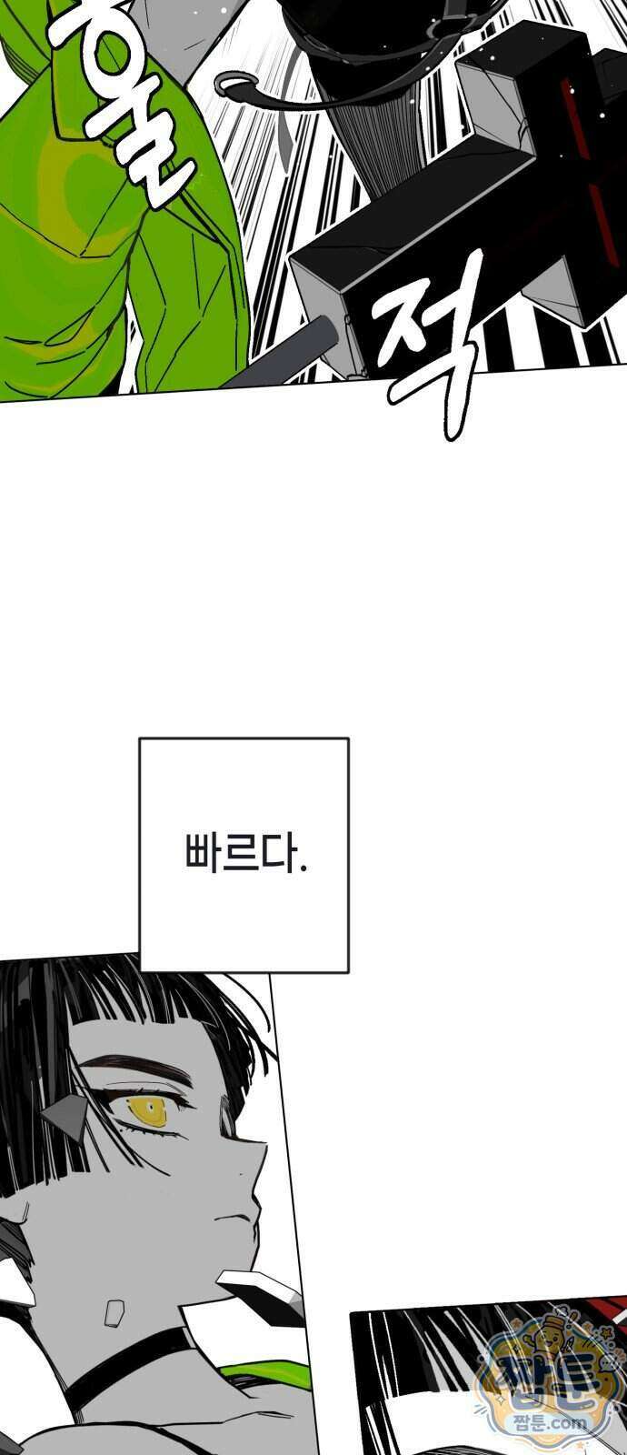 비터사이드 크렌베리스 050화 13