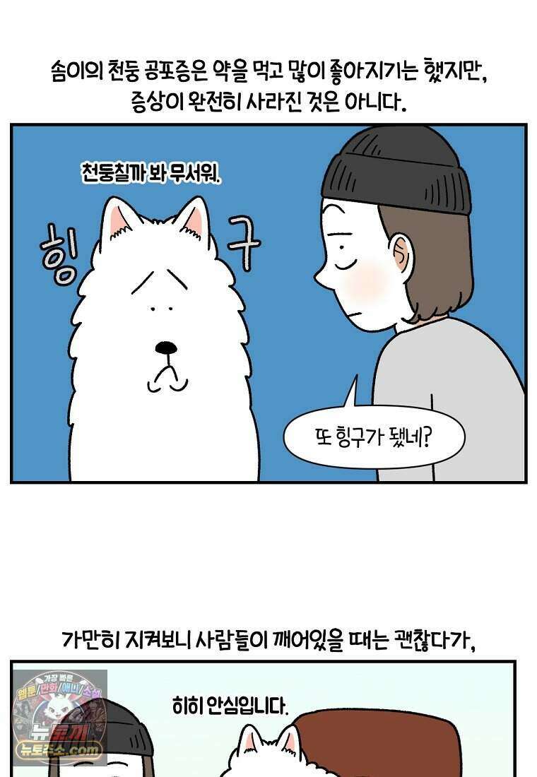 극한견주 시즌2 152화 다 같이 자자 2