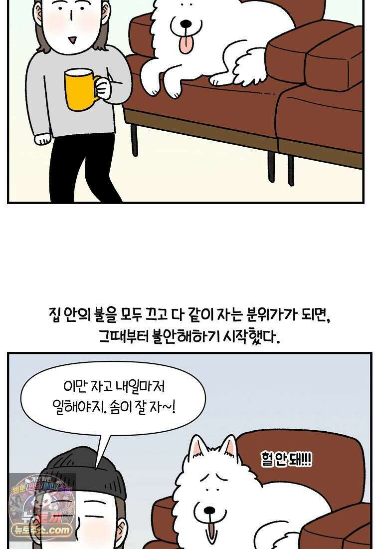 극한견주 시즌2 152화 다 같이 자자 3