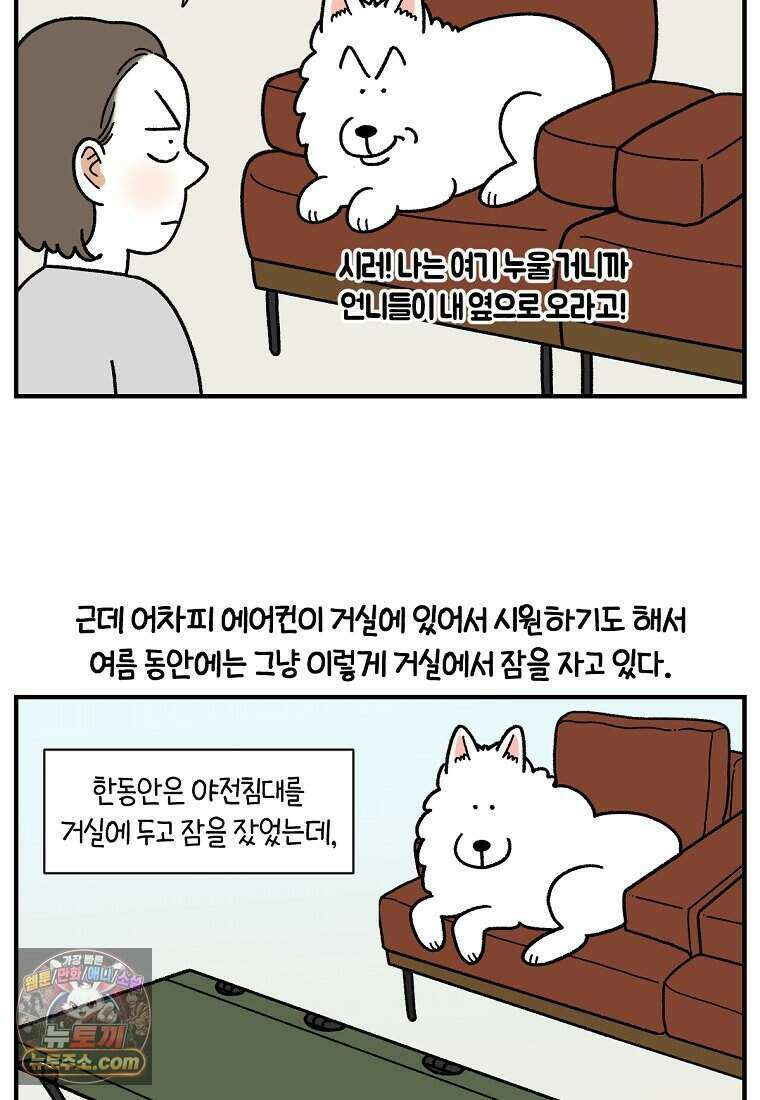 극한견주 시즌2 152화 다 같이 자자 7