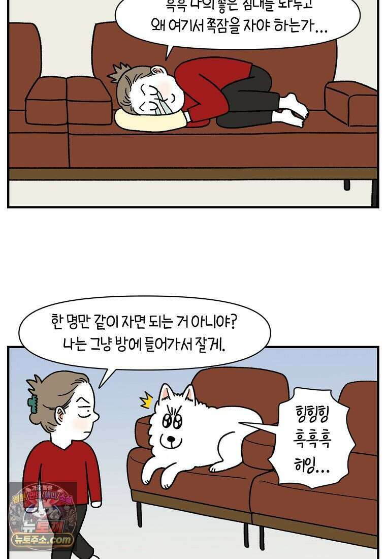극한견주 시즌2 152화 다 같이 자자 10