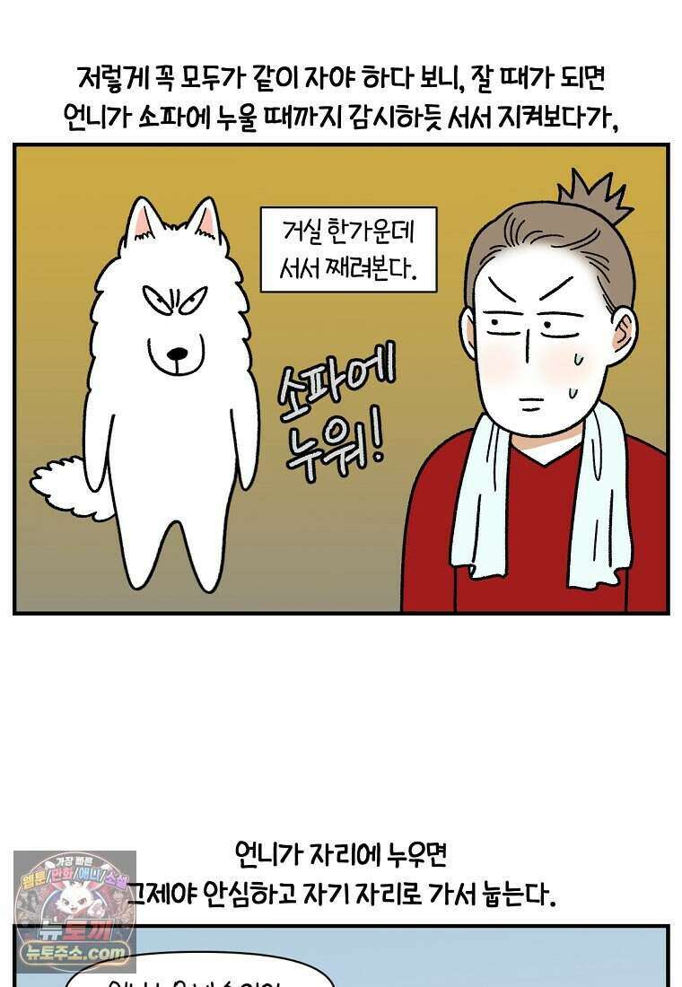 극한견주 시즌2 152화 다 같이 자자 12