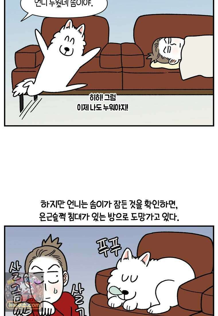 극한견주 시즌2 152화 다 같이 자자 13
