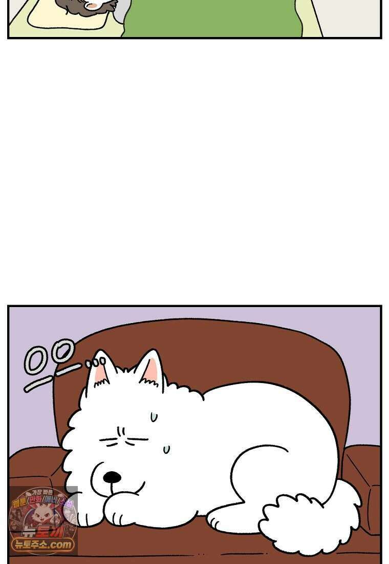 극한견주 시즌2 152화 다 같이 자자 17