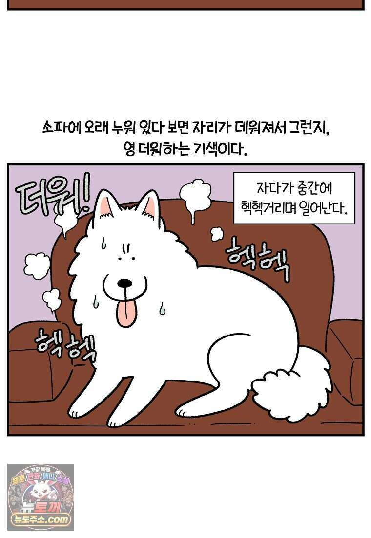 극한견주 시즌2 152화 다 같이 자자 18