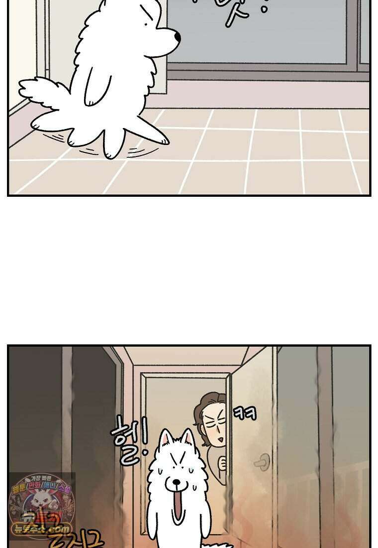 극한견주 시즌2 152화 다 같이 자자 21