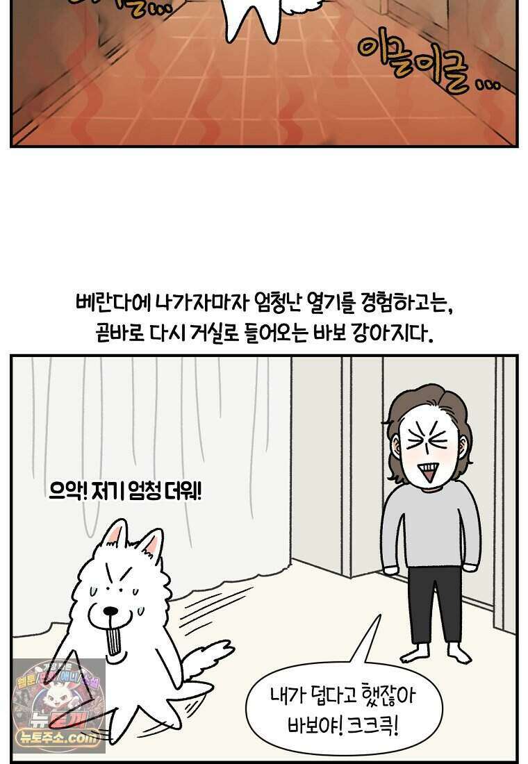 극한견주 시즌2 152화 다 같이 자자 22