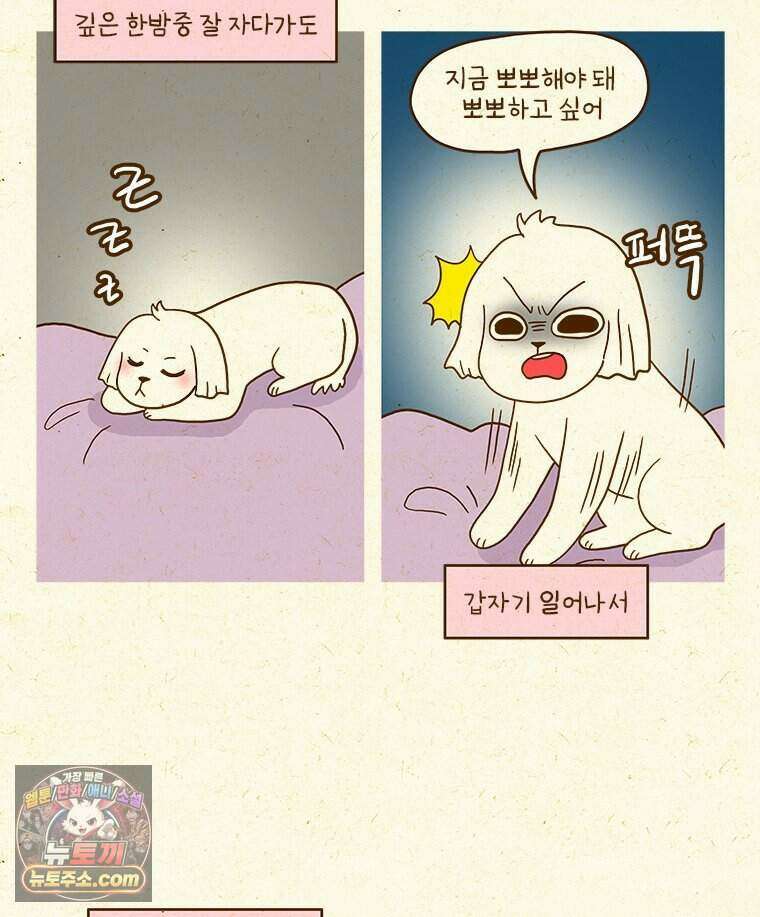 반지하셋방 476화 쿠쿠의 방 5