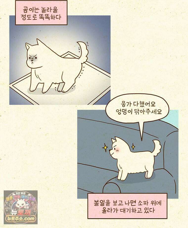 반지하셋방 476화 쿠쿠의 방 7