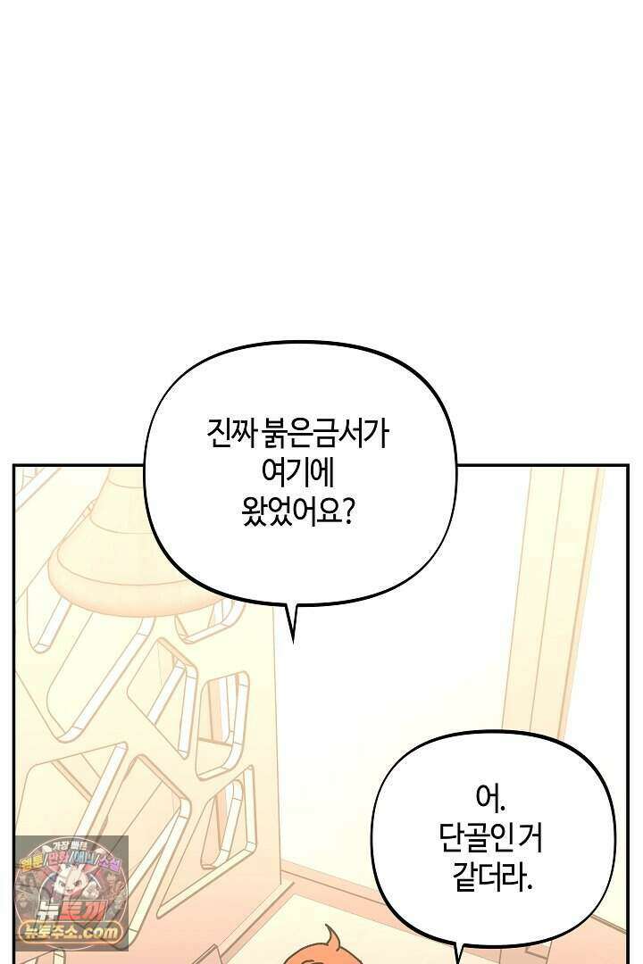개의 눈으로 보라 29화 61
