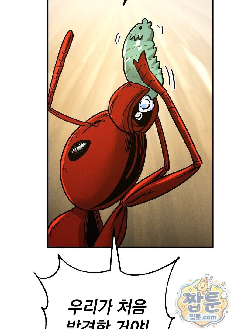 개미 43화 13