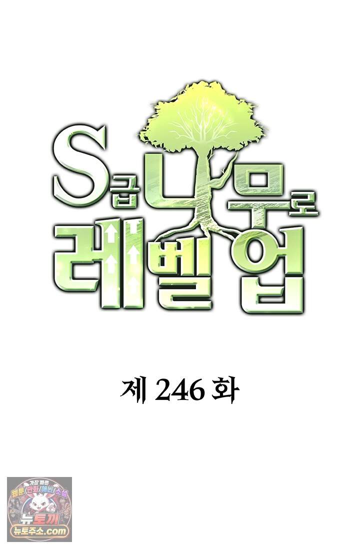 S급 나무로 레벨업 246화 1