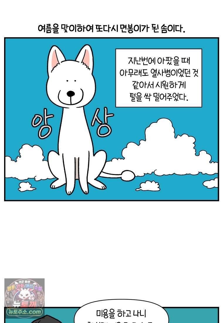 극한견주 시즌2 153화 의문의 혹 2