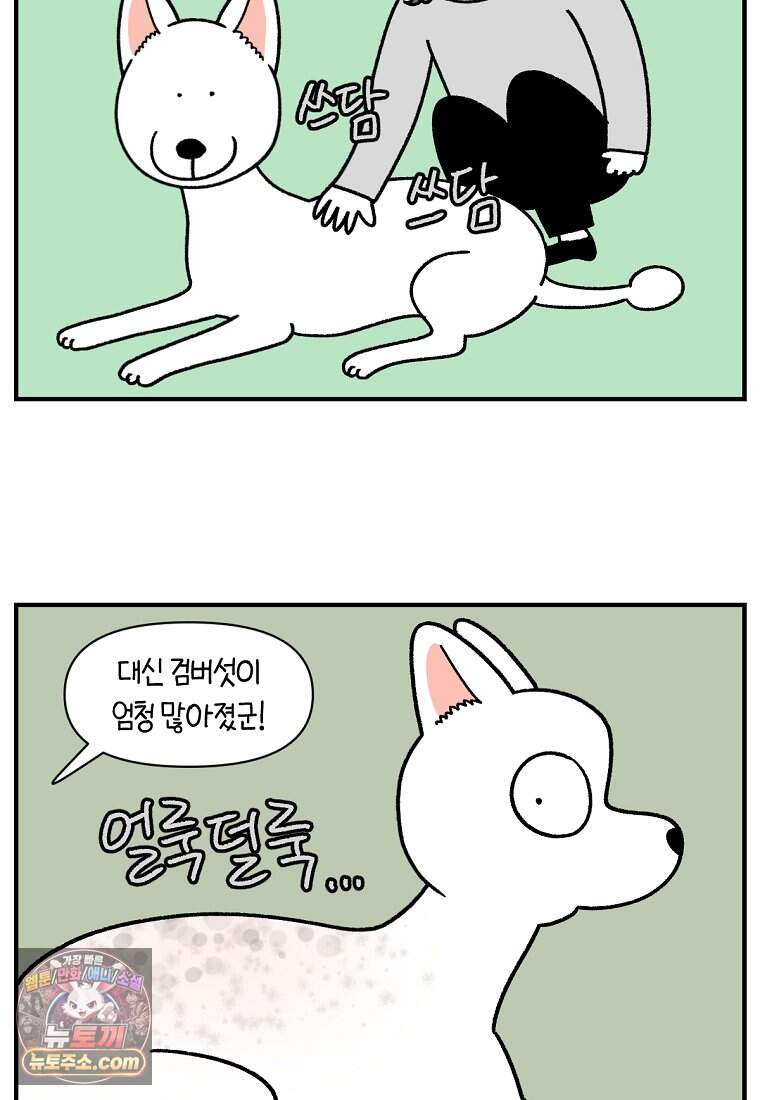극한견주 시즌2 153화 의문의 혹 4