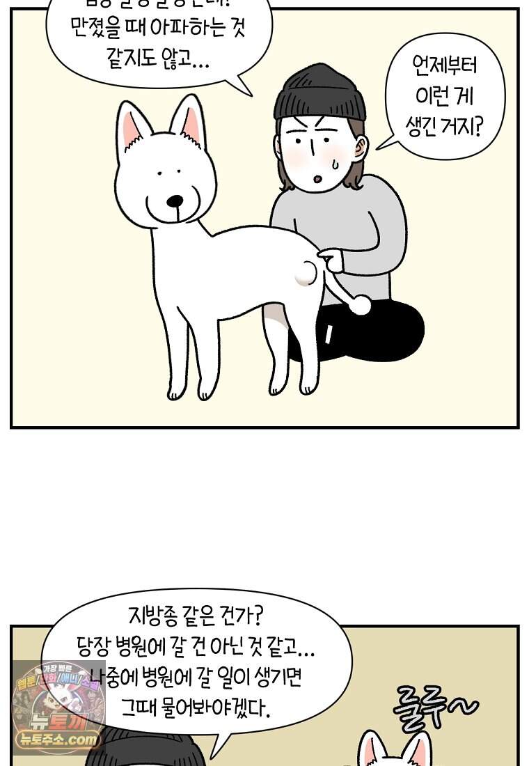 극한견주 시즌2 153화 의문의 혹 7