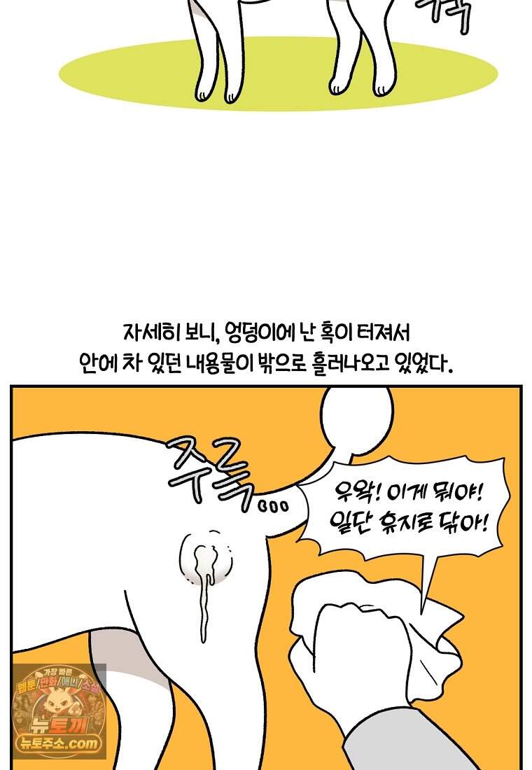 극한견주 시즌2 153화 의문의 혹 9